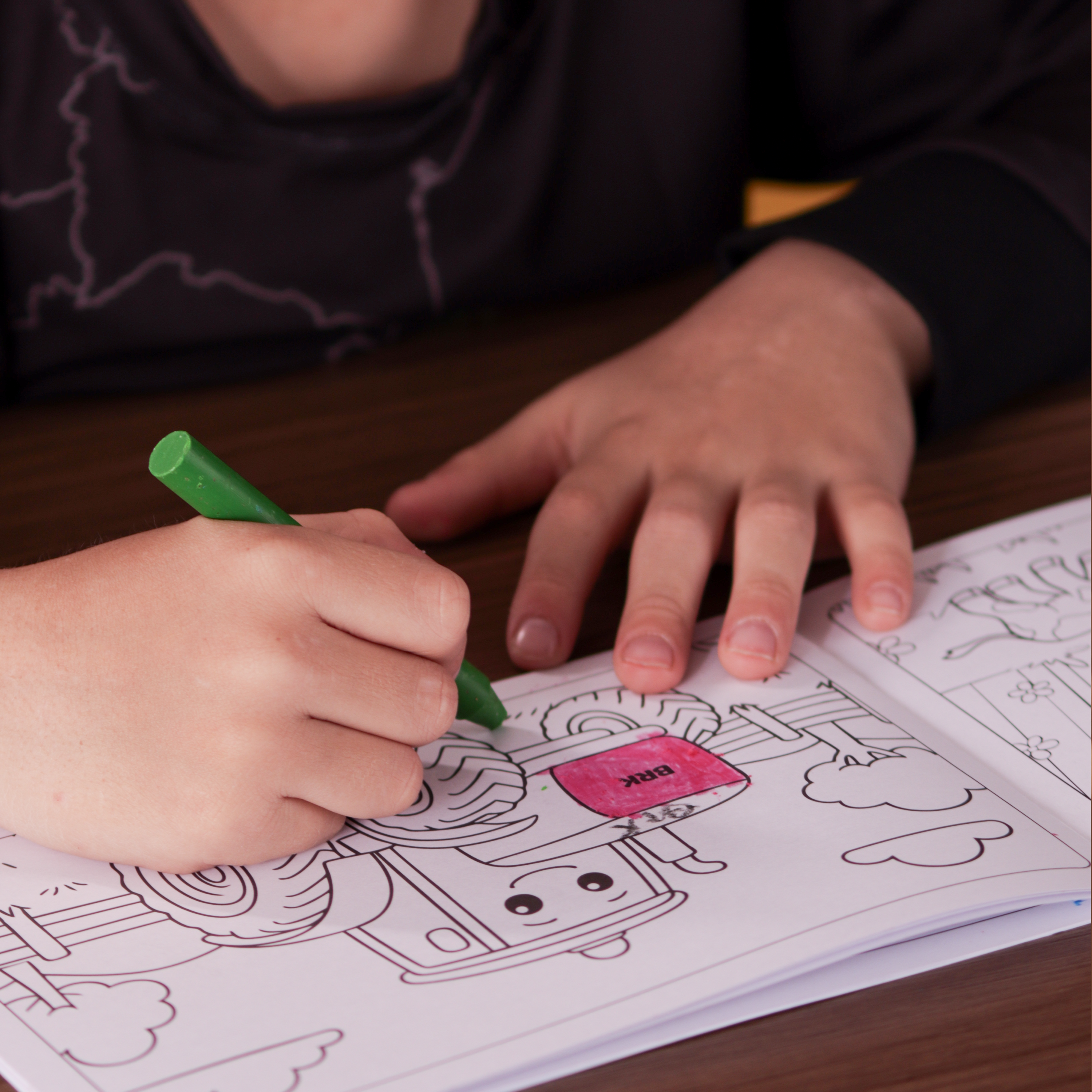 Camisa Agro Kids Brk Laranja Animais do Campo com Proteção UV50 + Brinde